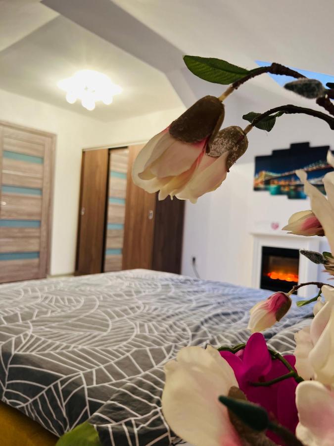 شقة Zizi'S House Garii براشوف المظهر الخارجي الصورة